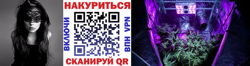 Марихуана OG Kush Торжок